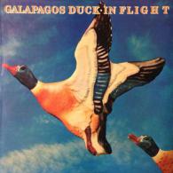 The Galapagos Duck