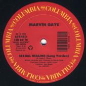 Sexual Healing / The Groove