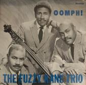 The Fuzzy Kane Trio