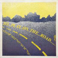 A. Zerga / M. T. Parolini