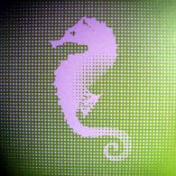 The Rongetz Foundation