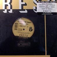 Todd Terry Project