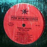 Tribal House