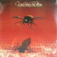 Wright Brothers Flying Machine